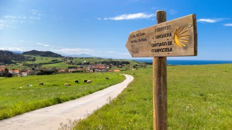 Picture 3 Camino Road sign.jpg