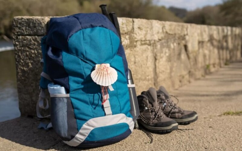 Picture 1 Camino Backpack.jpg