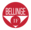 Cropped-nyt-bellinge-logo-wwwtop-96dpi-1