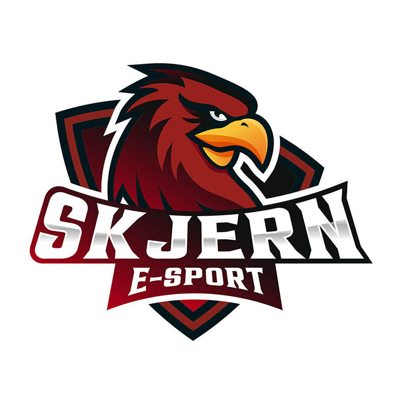 Skjernesport-1
