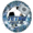 1780611264494