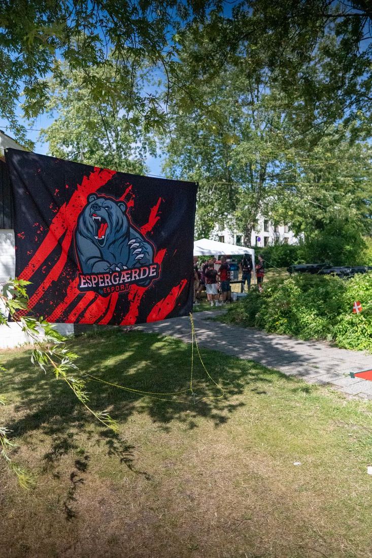 Espergærde Esport-flag ved indgangen