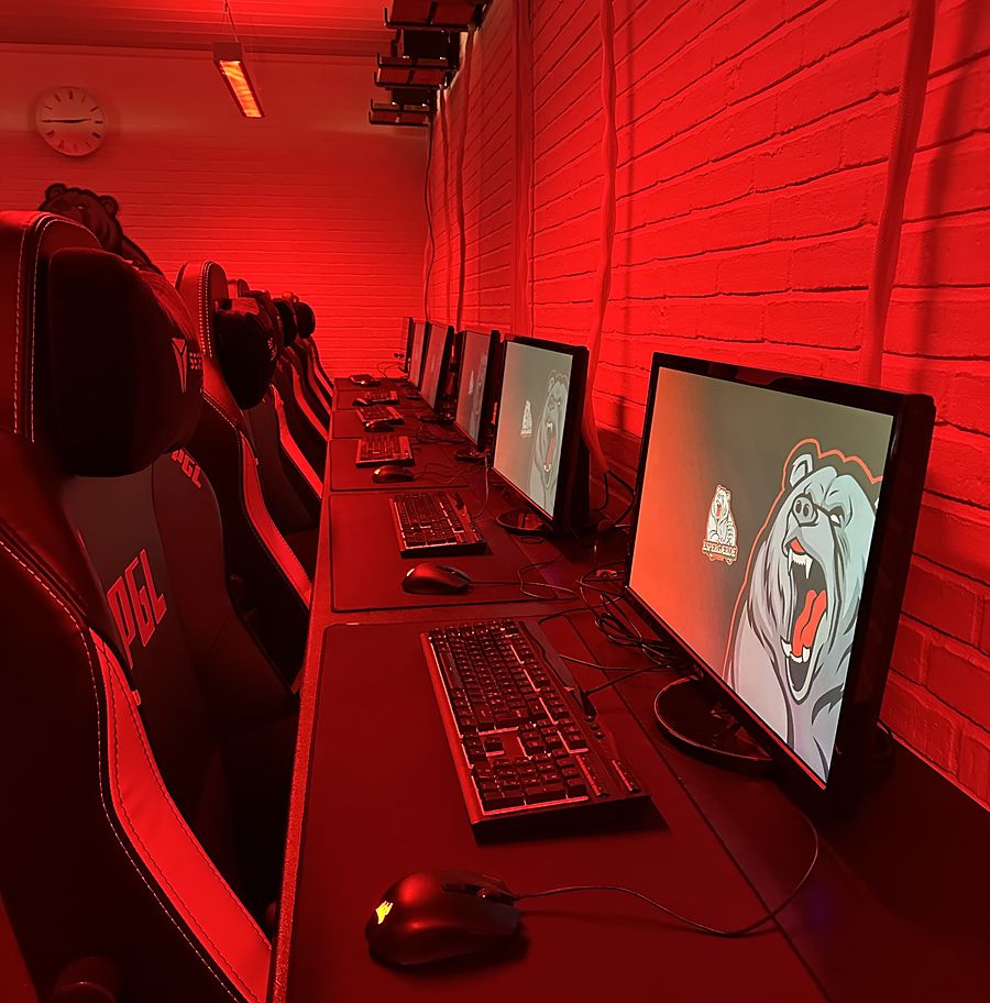 Tastatur, mus og skærm med Espergærde Esports bjørnelogo i det store lokale
