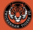 Twickenham%20tigers