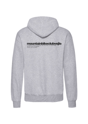 Street_hoodie_grey_back