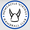 Newcastle%20vikings%20handball%20club%20emblem